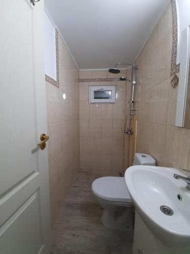 a small bathroom with a toilet and a sink at CAZARE LA ESPAÑOLA in Haţeg