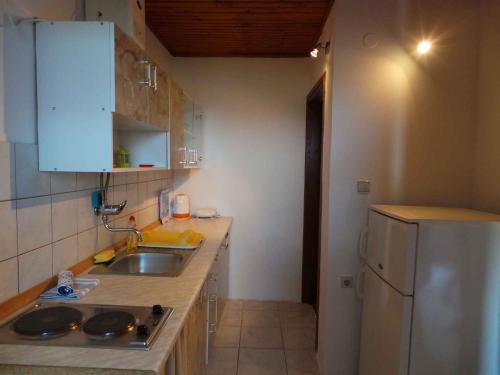 a small kitchen with a sink and a refrigerator at Apartment in Valbandon/Istrien 8608 in Štinjan
