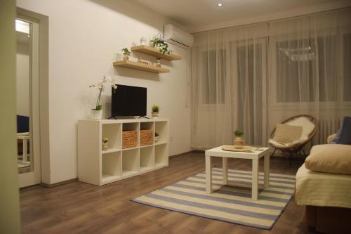 ZemunにあるFeel Danube apartmentのリビングルーム(ソファ、テレビ、テーブル付)