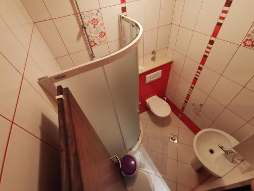 een kleine badkamer met een toilet en een wastafel bij Villa Salvia in Mostar