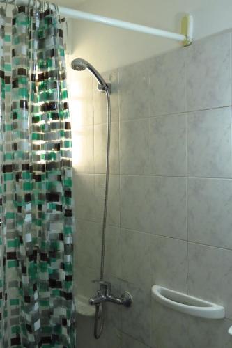 La salle de bains est pourvue d'une douche avec rideau de douche. dans l'établissement Depto con fantástica TERRAZA PRIVADA en pleno centro, à Córdoba