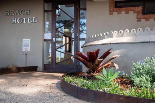 un hotel con una planta frente a un edificio en Beach Hotel Resort, en Byron Bay