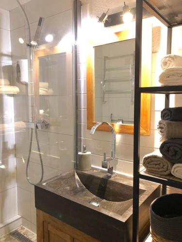 une salle de bain avec un lavabo et une douche avec un miroir dans l'établissement Aiguille du Midi - Le Chamo'nid, à Chamonix-Mont-Blanc