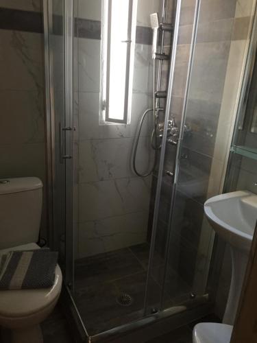 a bathroom with a shower and a toilet and a sink at Chaliotis Apartments in Lefkandi Chalkidas