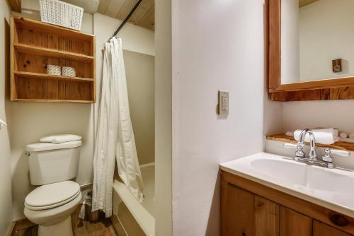 a bathroom with a toilet and a sink at Northeast Passage Chalet in Killington