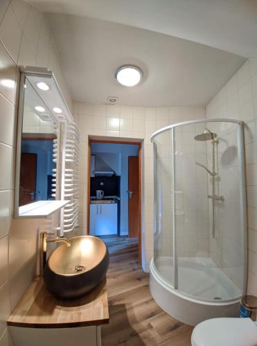 a bathroom with a large sink and a tub at Villa Idylla in Przesieka