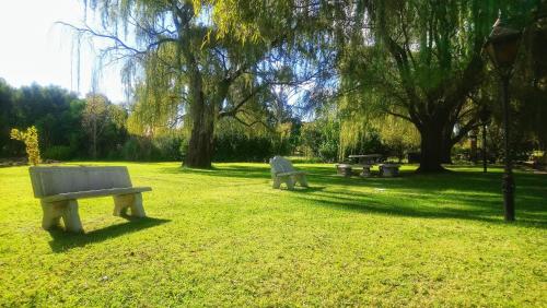 two park benches in a park with trees and grass at Clivia Lodge in Vanderbijlpark