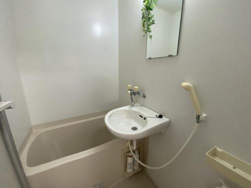 a white bathroom with a sink and a mirror at AppleRoom高瀬駅近202 in Mitoyo