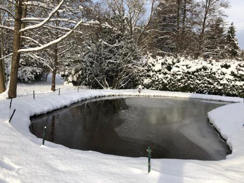 a pond covered in snow with trees in the background at Ubytování Chotěvice in Hostinné