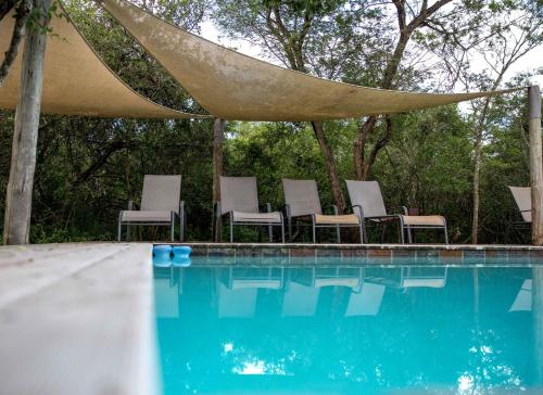 Kolam renang di atau dekat dengan Royal Thonga Safari Lodge