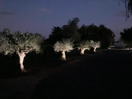 ヴィアにあるGîte domaine de la source basのギャラリーの写真