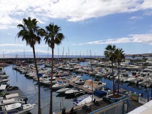 Los Geranios, Close to BEACH, Puerto Colon, YellowCat 2