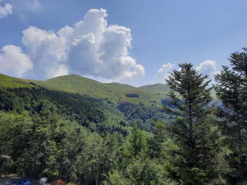a view of a valley with trees and mountains at Albergo Rifugio La Grande Baita in Cutigliano