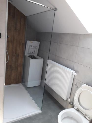 a bathroom with a toilet and a glass shower door at Apartament Nad Jeziorem Ewa in Nadole