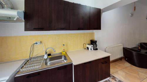 Kuchyň nebo kuchyňský kout v ubytování Perla Sarisorului