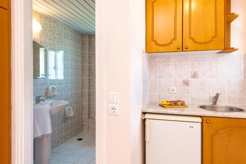 Kuchyň nebo kuchyňský kout v ubytování Dinos Hotel