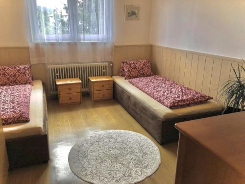 Kájov的住宿－Apartmán U Českého Krumlova，一间设有两张床、一张桌子和一张地毯的房间