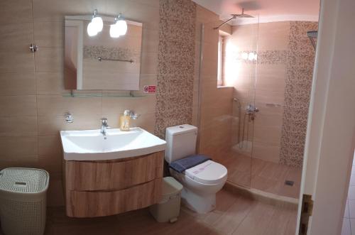 a bathroom with a sink and a toilet and a shower at House of Aggelos - Karya Lefkadas in Kariá