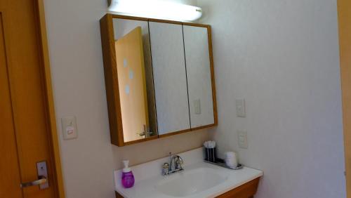 a bathroom with a sink and a mirror at Villa Ensoleille in Fujikawaguchiko