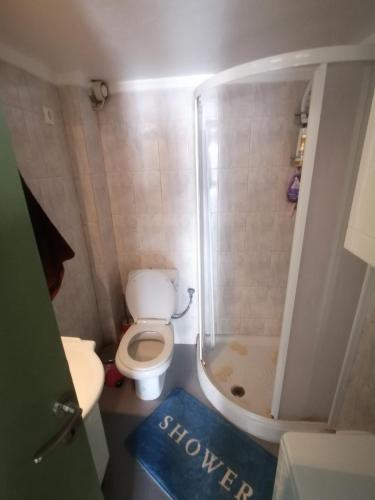 a small bathroom with a shower and a toilet at Elef Apartment in Paralia Dionysiou