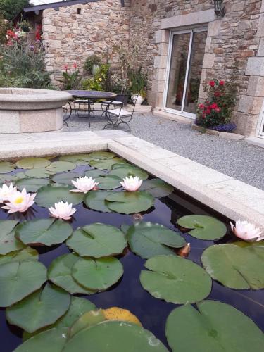 a pond with lily pads and a bench in a garden at La Petite Bérais in Missillac