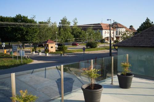 two potted plants on a balcony with a street at Thermal Apartman - FSZ in Gárdony