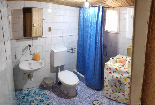 a bathroom with a toilet and a blue shower curtain at Guest House - Marija Delija in Sutomore