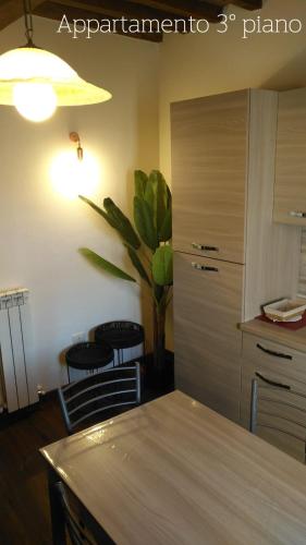 a kitchen with a table and a plant in a room at Residence Garibaldi bilocale e monolocale in centro a Foligno terzo e quarto piano in Foligno