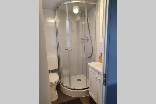 ein Bad mit einer Dusche und einem WC in der Unterkunft Vazonics Valkenbosch 76 in Oisterwijk