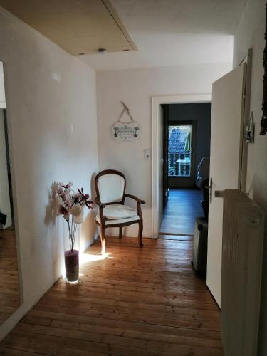 a hallway with a chair and a vase of flowers at Endes Dreiseithof - Apartment in Schliengen