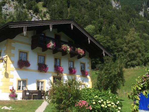 a white house with flower boxes on the windows at Alpaka-Hof Landinger in Aschau im Chiemgau