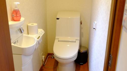 a bathroom with a white toilet and a sink at Villa Ensoleille in Fujikawaguchiko