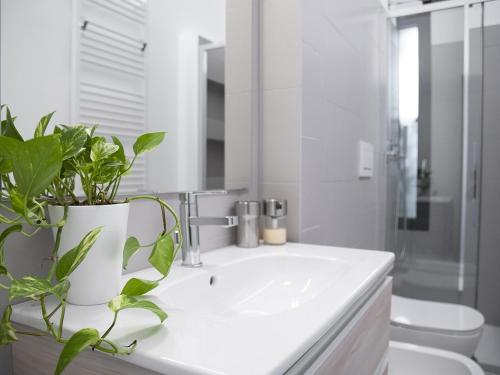 een badkamer met een witte wastafel met een plant erop bij Brand new apartments Ortiquattro in Milaan