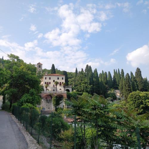 a house on the side of a hill with trees at Agriturismo L'Albara - Wines, Pool & SPA in Villaganzerla