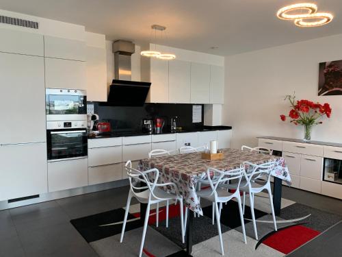 Spacious Luxury 2BR flat with Parking - Luxembourg gare