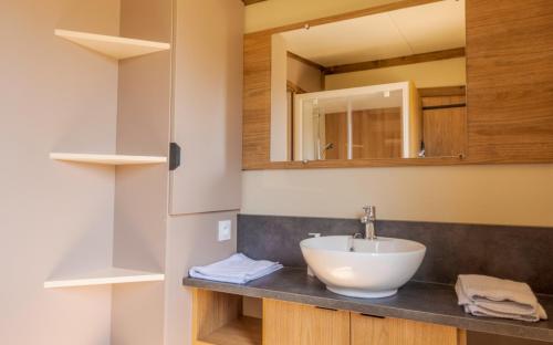 a bathroom with a sink and a mirror at Camping du Château Vert in Hondainville