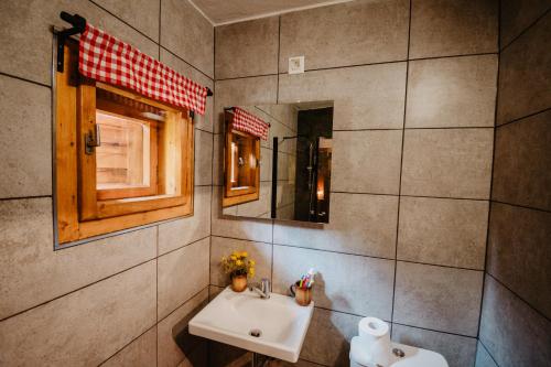 a bathroom with a sink and a mirror at Chalupa Lieskovec in Tatranska Strba