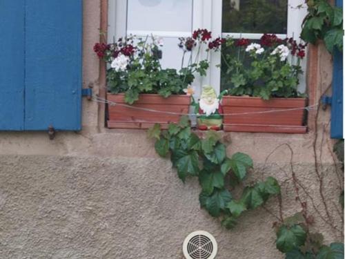 dos macetas al lado de una ventana en Auberge d'Hôtes l'Instant, en Le Hohwald