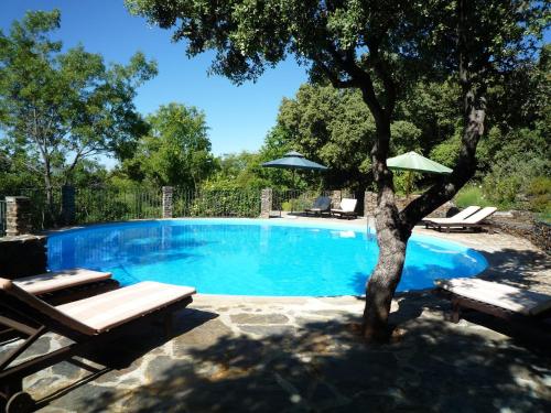 a swimming pool with a tree and some chairs at Cortijo Prado Toro in Pitres