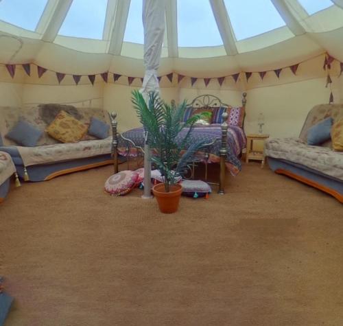 a room with two beds and a potted plant at Glamping with Llamas in Wisbech