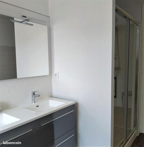 une salle de bain avec un lavabo et un miroir dans l'établissement Gîte familial chaleureux à la campagne 20mn FUTUROSCOPE, à Savigny-Lévescault