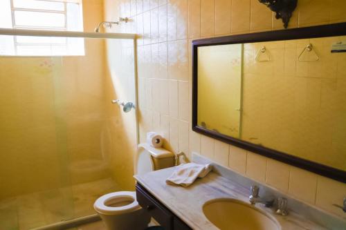 a bathroom with a sink and a toilet and a mirror at Hotel Itamaracá in Miguel Pereira