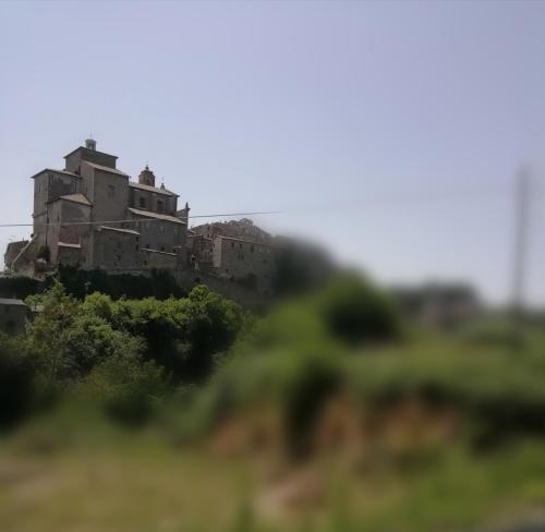 an old house on a hill in a field at Alloggio Turistico Casa Vicolo Pincio in Grotte di Castro
