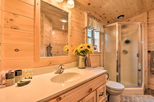 a bathroom with a sink and a toilet and a shower at Secluded Mountain Cabin in Wardensville! in Wardensville