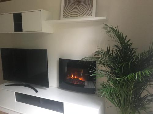 a fireplace in a living room with a tv and a plant at Suites Mendibil Irun in Irún