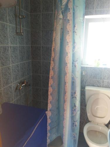 a bathroom with a shower with a toilet and a window at Apartman Mila i Kaja in Nikšić