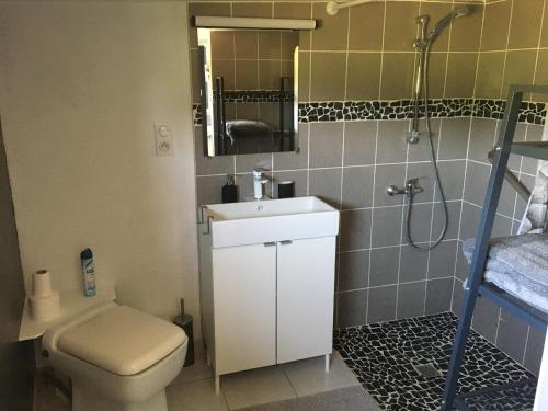 a bathroom with a toilet and a sink and a shower at La Dolce Vita in Saint-Seine-en-Bâche