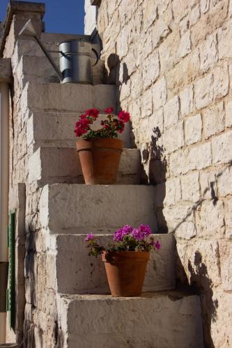 three potted plants on the side of a brick wall at Aria di Casa Country Resort in Alberobello