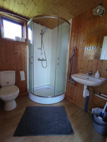 ein Bad mit einer Dusche, einem WC und einem Waschbecken in der Unterkunft Rjúpnavellir in Rjúpnavellir