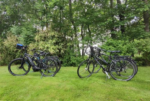 two bikes parked in the grass in a park at Ferienwohnung Sort Sol Grellsbülldeich 7 in Aventoft